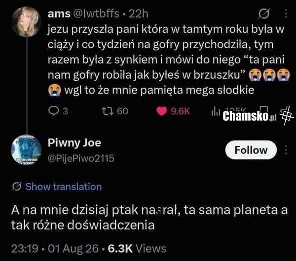 Gofry