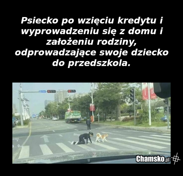Farszafka