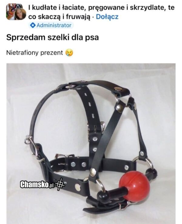 Szelki do psa