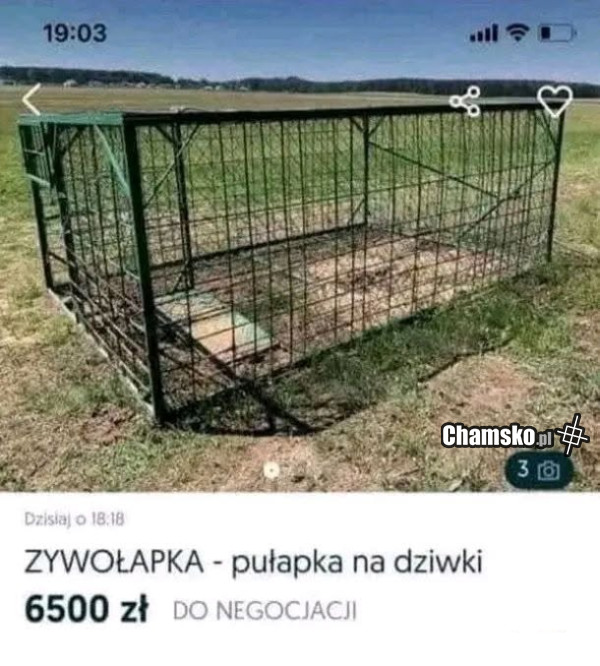 Pułapka