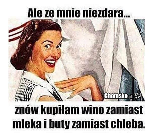 Niezdara