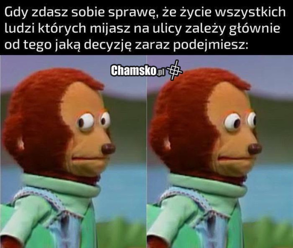 Decyzje