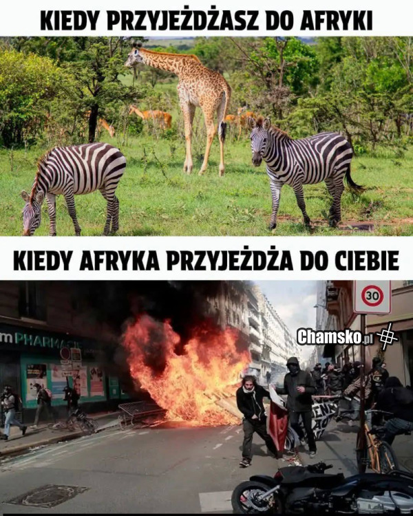 Afryka