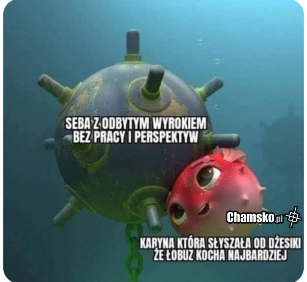 Idealny wybór
