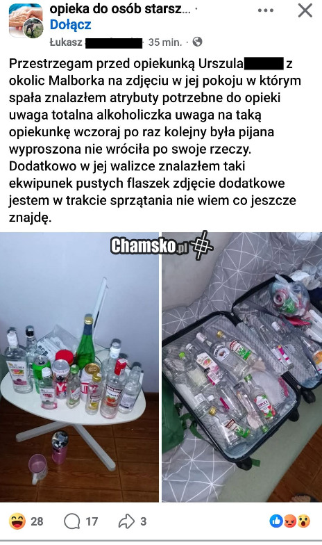 Idealna opiekunka
