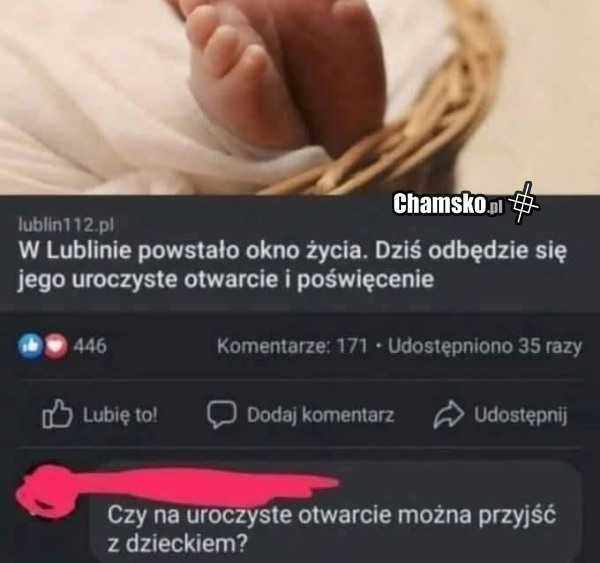 Okno życia