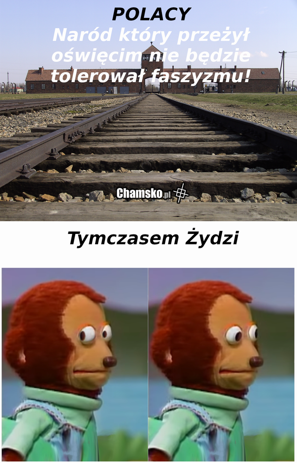 fałszyzm