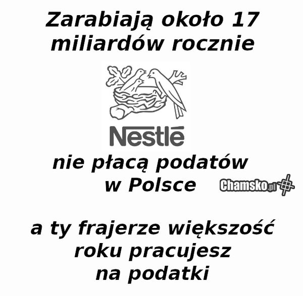 do wczoraj pracowałeś na podatki