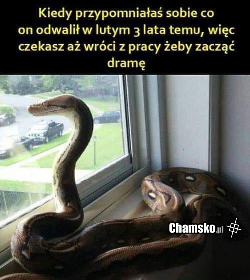 Dobry powód do awantury
