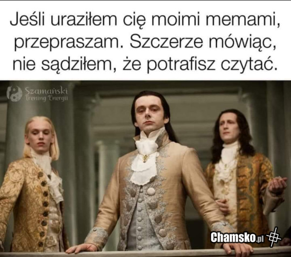 Obraza memami