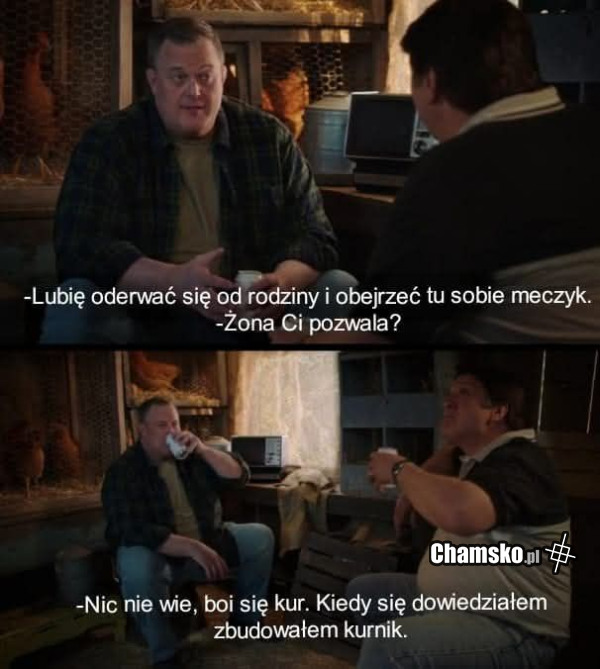 Siedzenie w kurniku
