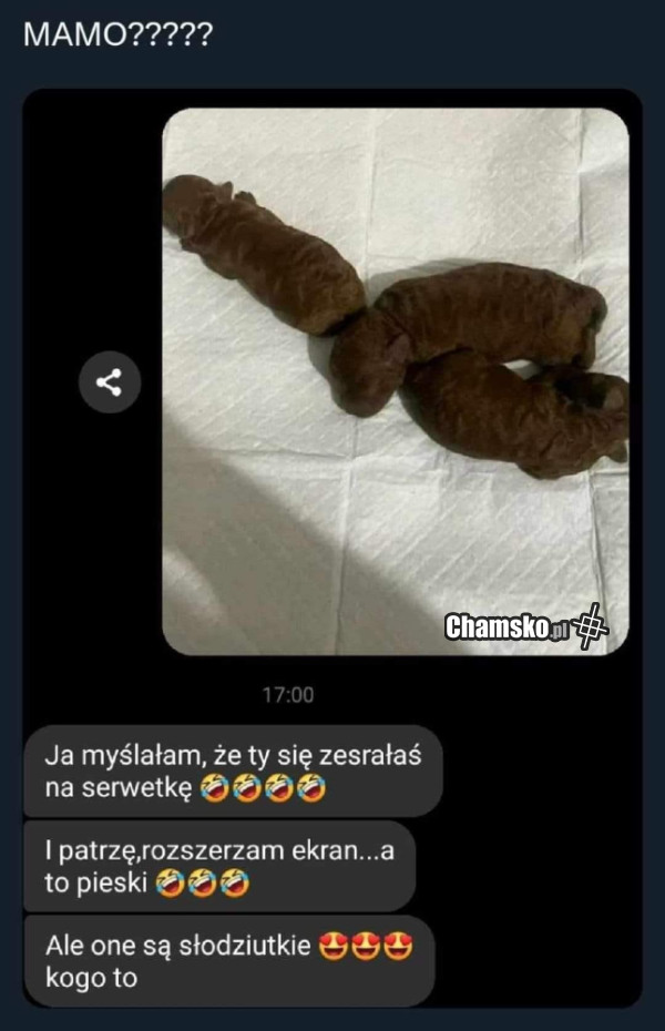 Co jest na serwerce?
