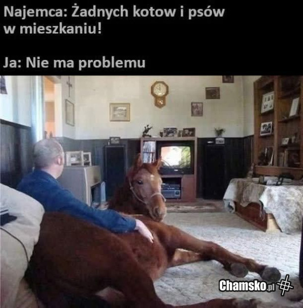 Koń zwalony