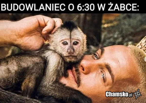 Poranek w sklepie