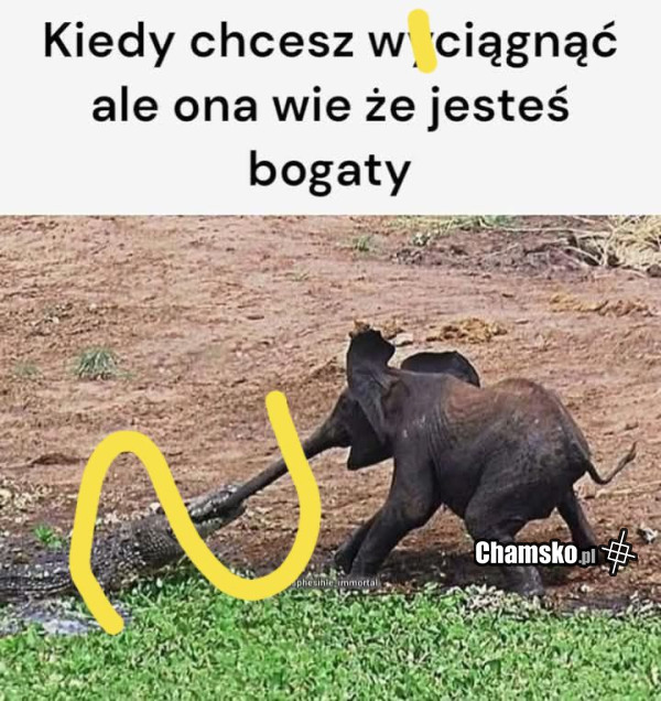 Gdy chcesz wyciągnąć