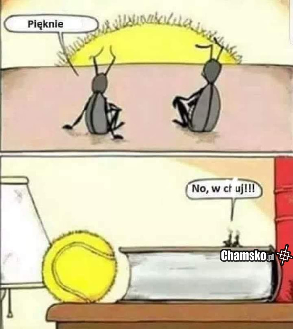 Piękne
