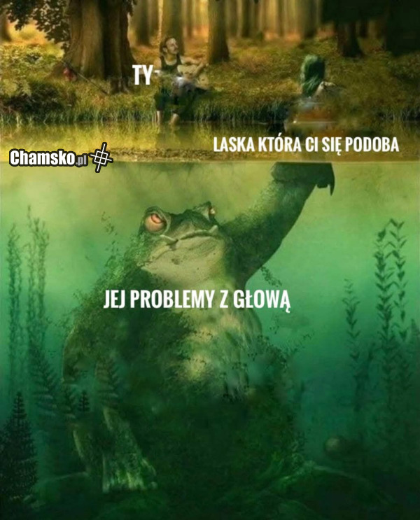 Laska która Ci się podoba