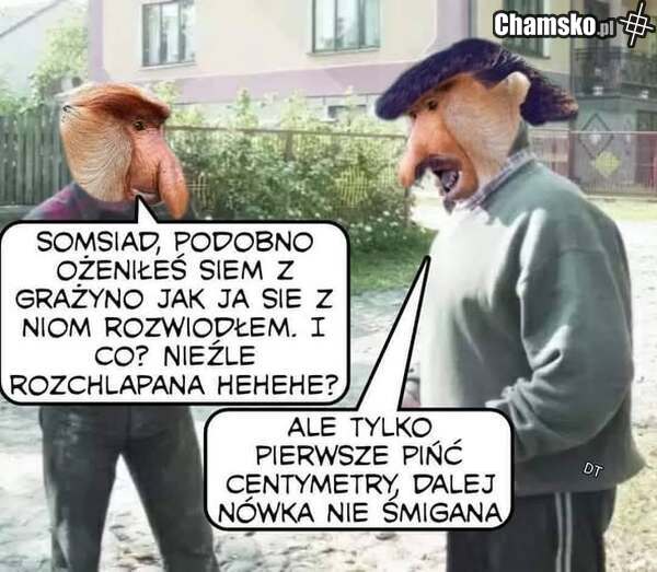 Somsiedzi