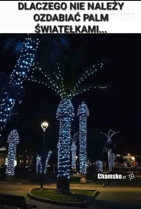 Ozdabianie palm