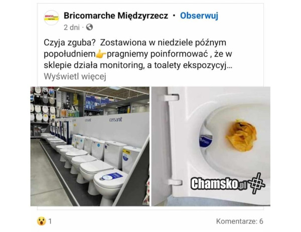 Czyja zguba?