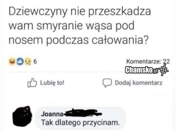 Wąsy