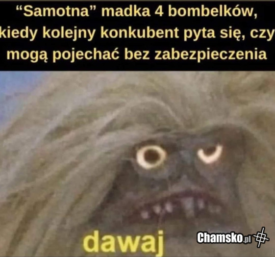 Samotna madka