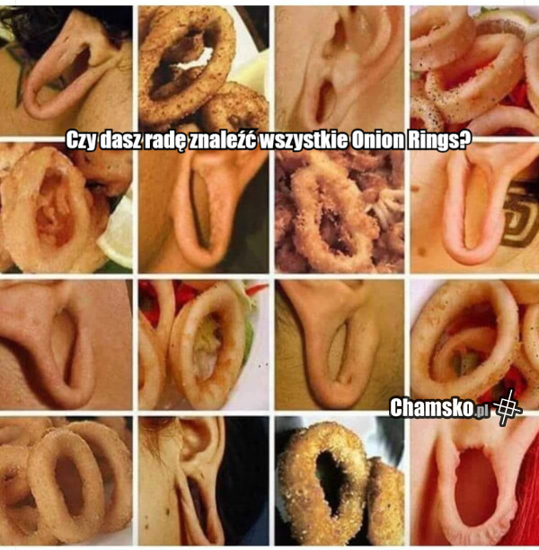 Onion rings