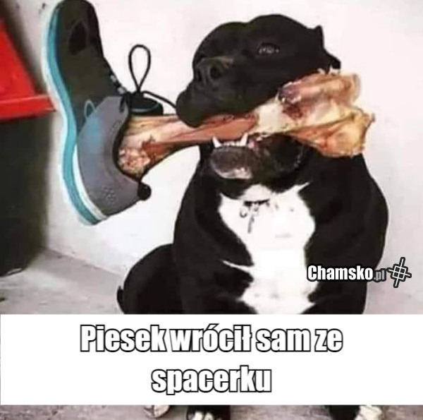 Spacerek