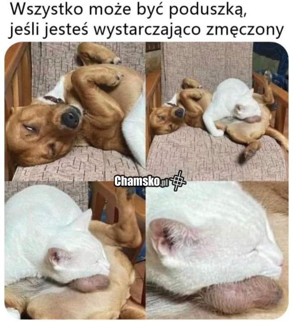 Poduszka
