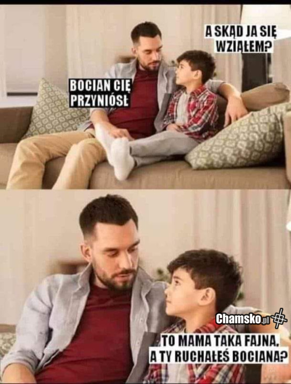 Bocian