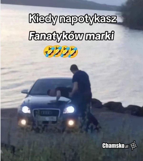 Fanatycy marki