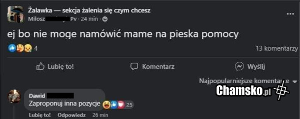 Piesek