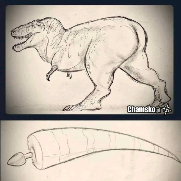 T-REX