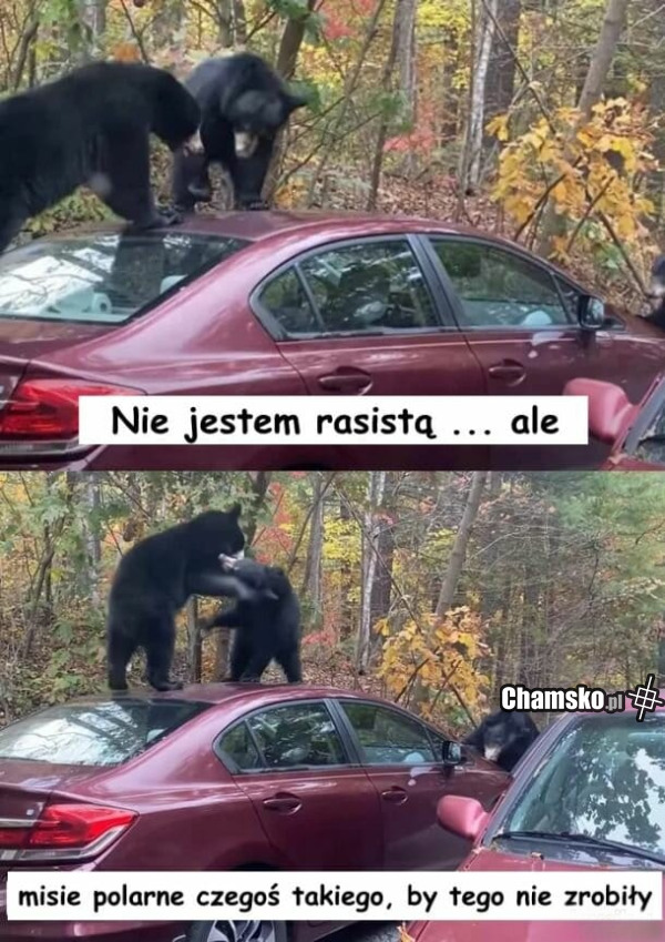 Skakanie po autach