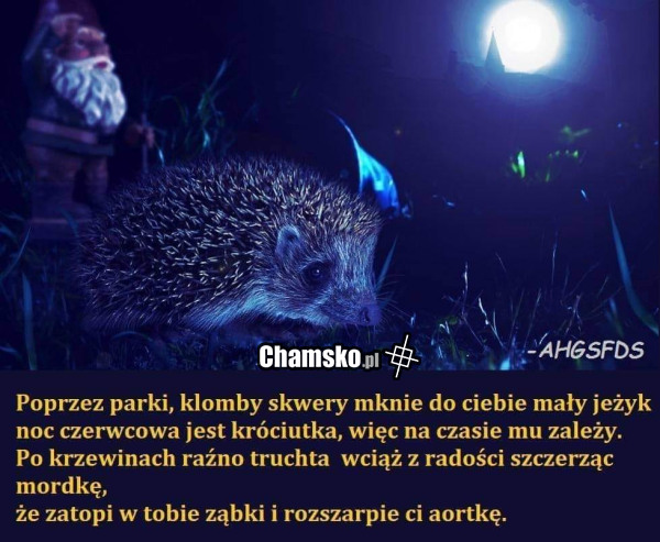 Jeżyk
