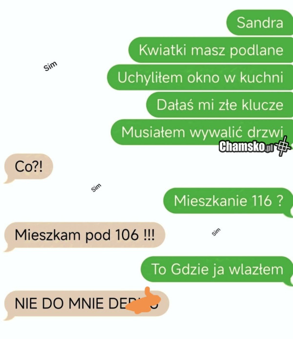 Kwiatki podlane