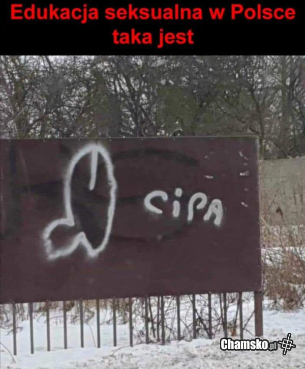 Edukacja w Polsce
