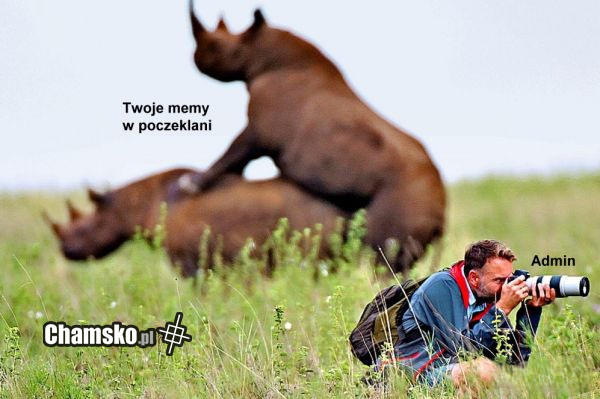 Admin chamsko