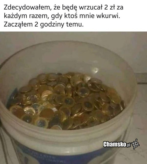 Wiadro z hajsem