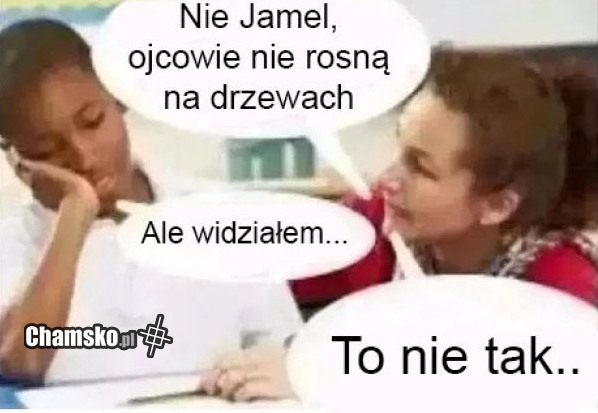 Ojciec na drzewie