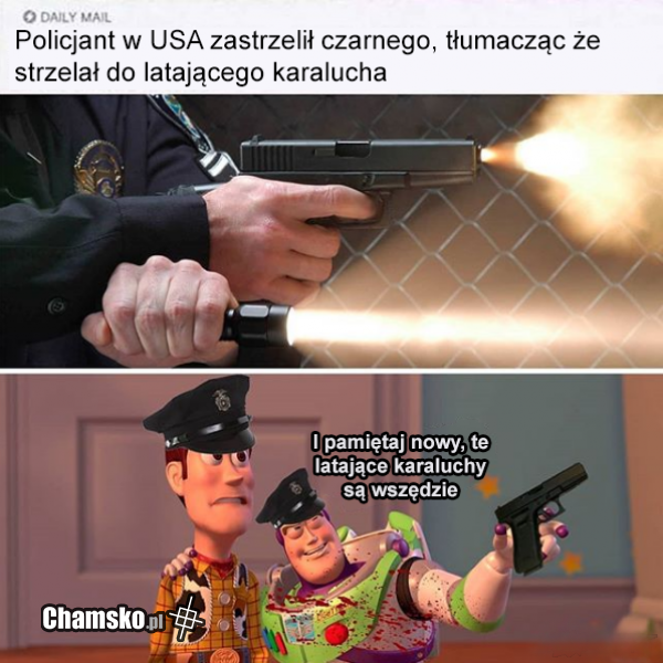 Latające karaluchy