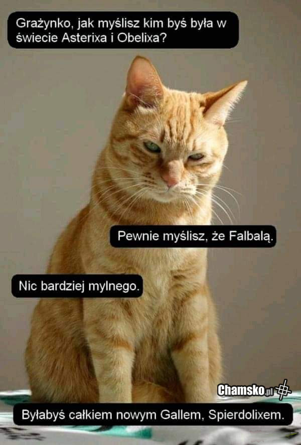 Świat Asterixa i Obelixa