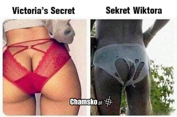 Sekret