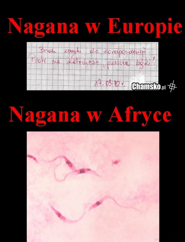 Nagana