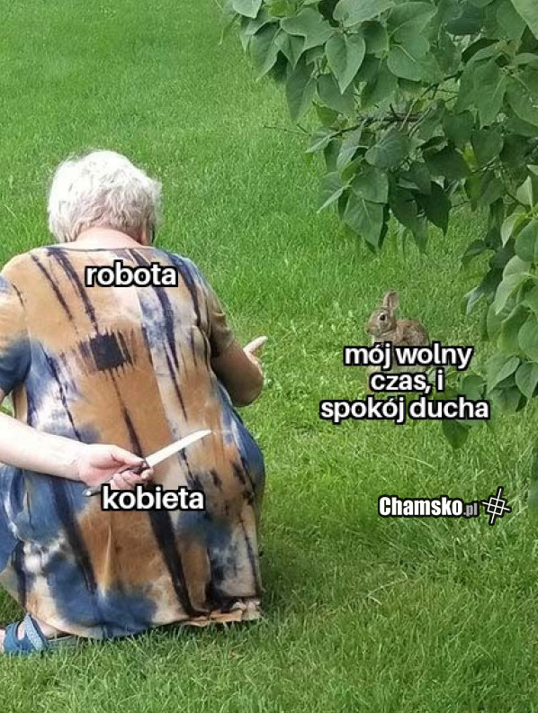 Wolny dzień