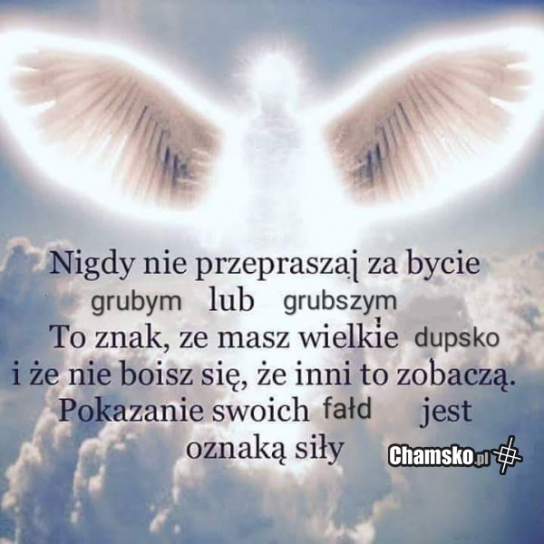 Nigdy nie przepraszaj za...