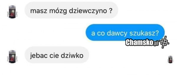 Masz mózg?