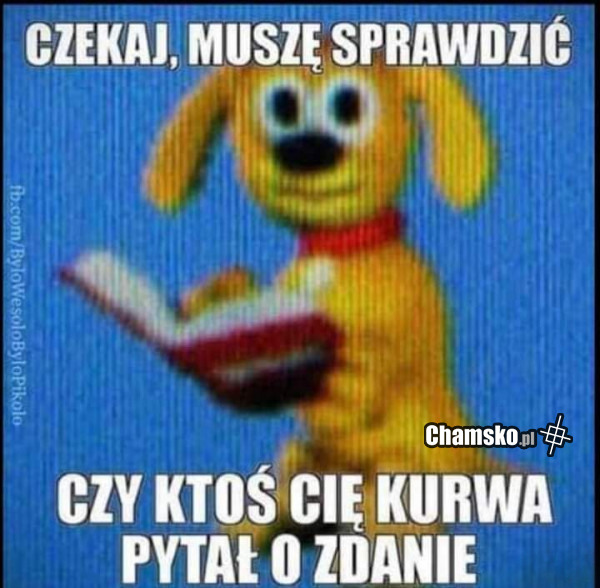 Zdanie
