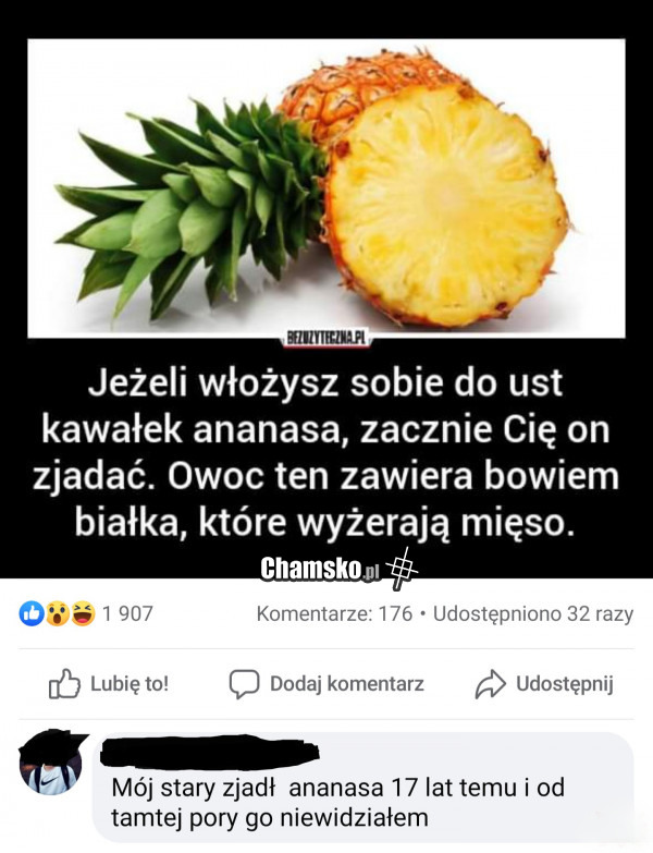 Ananas
