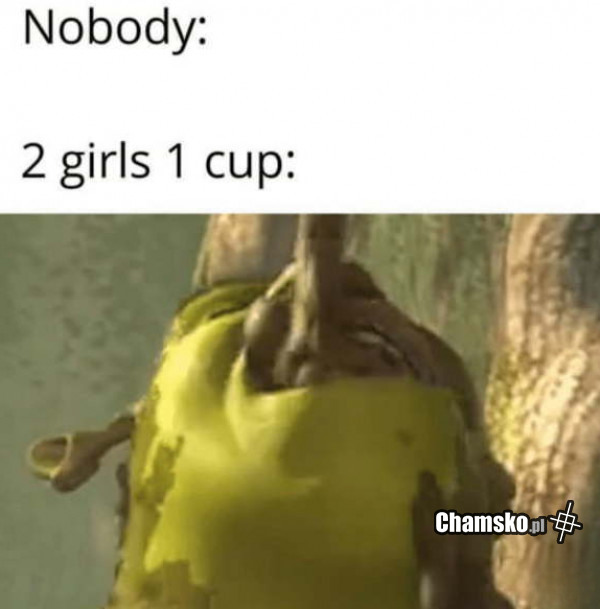 2 girls 1 cup